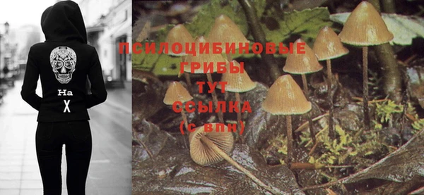MESCALINE Козловка