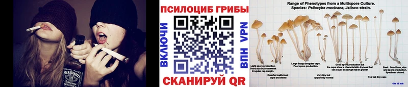 Псилоцибиновые грибы ЛСД  как найти   Краснообск 